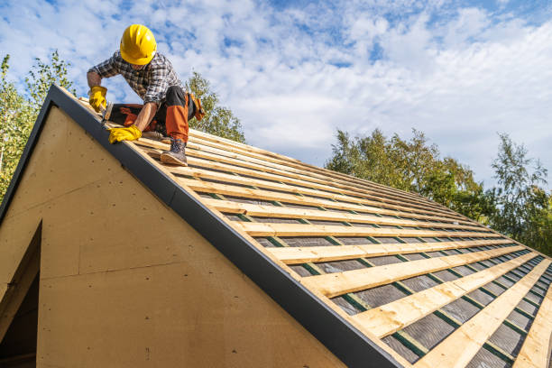 Best Storm Damage Roof Repair  in Newton, TX